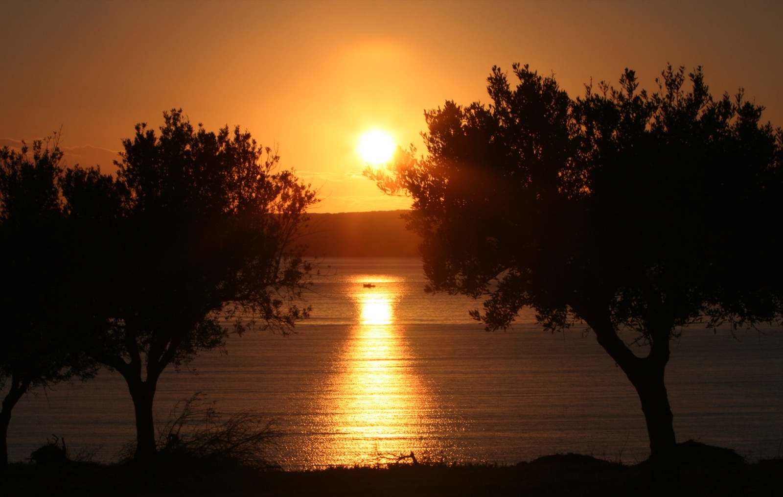 The Bay of Navarino near Pylos, backdrop for the fleet scenes in The Odyssey