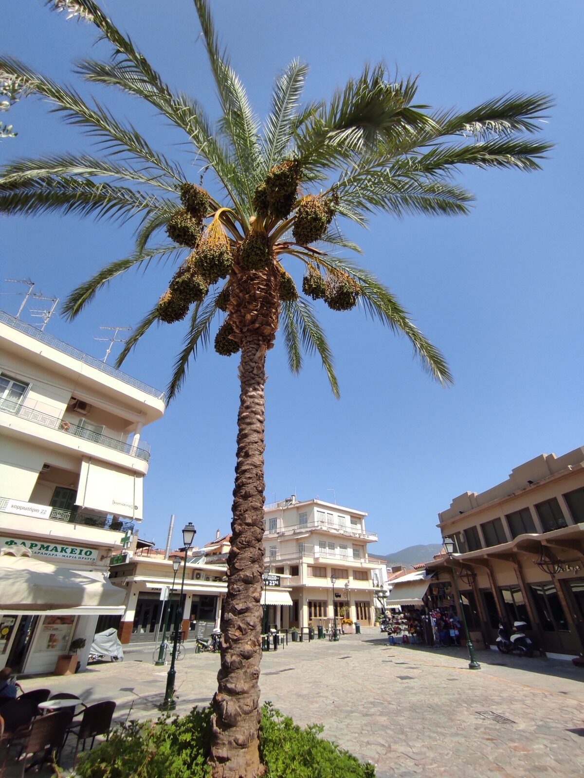 Christmas Decorations and Fairytale Houses Kalamata